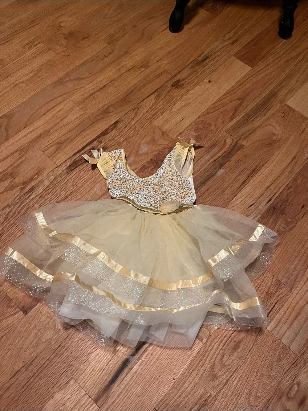 Weissman “A World Above” Dance Costume
